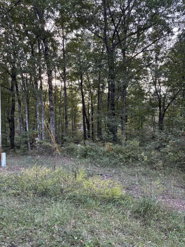 Dunlap, TN 37327,20 Ski View DR