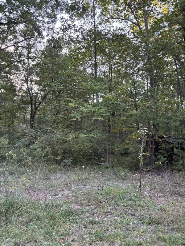 Dunlap, TN 37327,20 Ski View DR