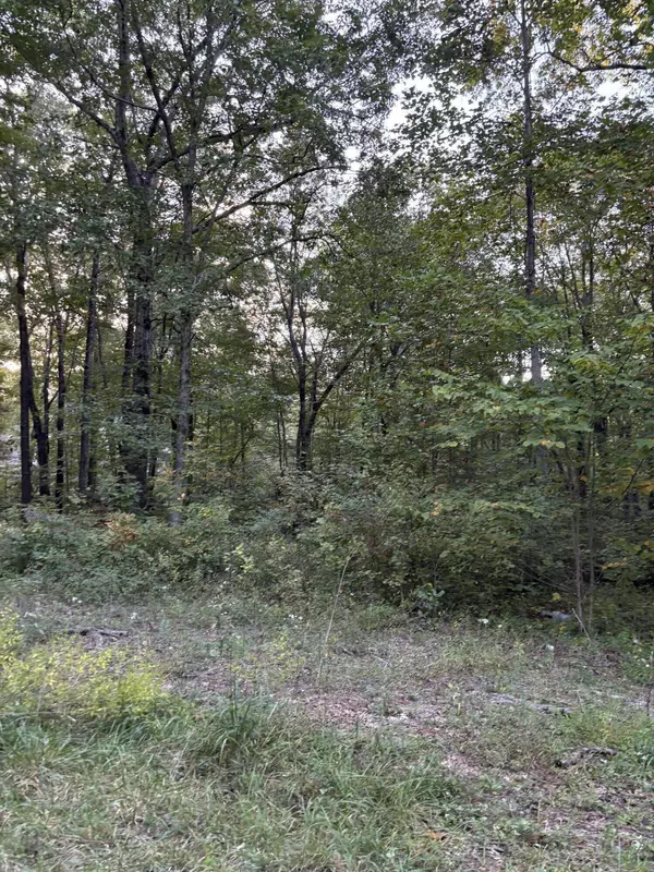 Dunlap, TN 37327,20 Ski View DR