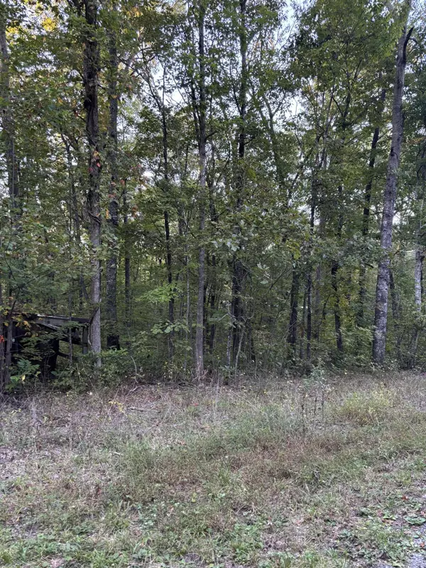 Dunlap, TN 37327,20 Ski View DR