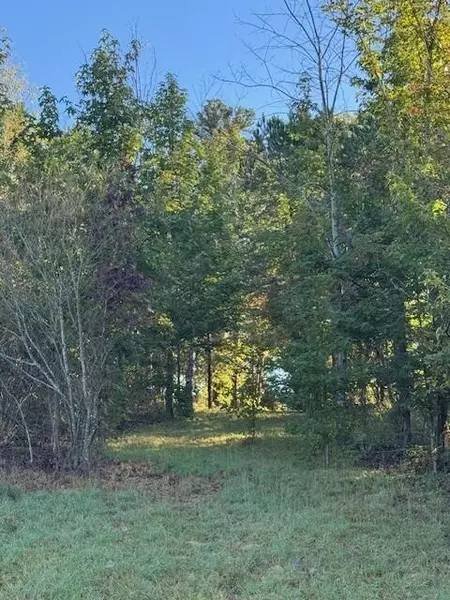 446 Patton School Road, South Pittsburg, TN 37380