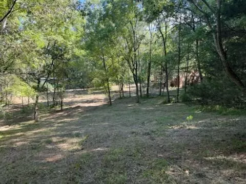 Guild, TN 37340,0 Wells LN