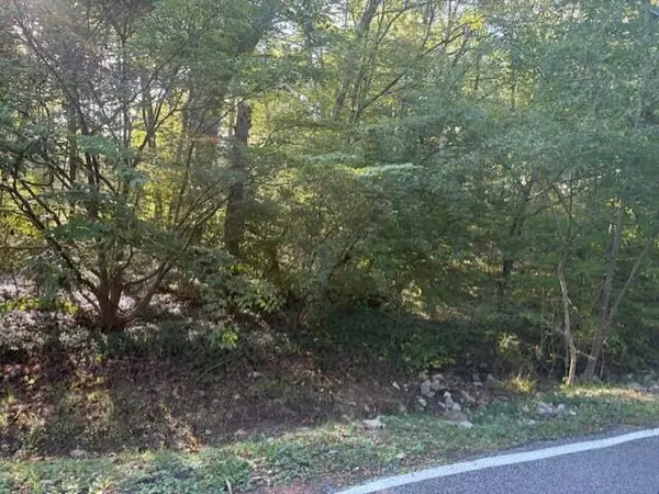 0 Wilson AVE, Walden, TN 37377