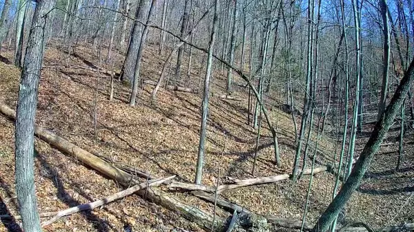 Trenton, TN 30752,0 Northwoods LN