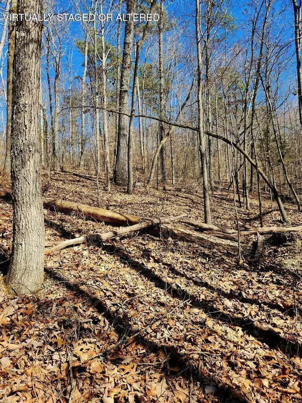 Trenton, TN 30752,0 Northwoods LN