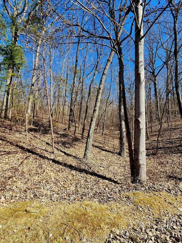 Trenton, TN 30752,0 Northwoods LN