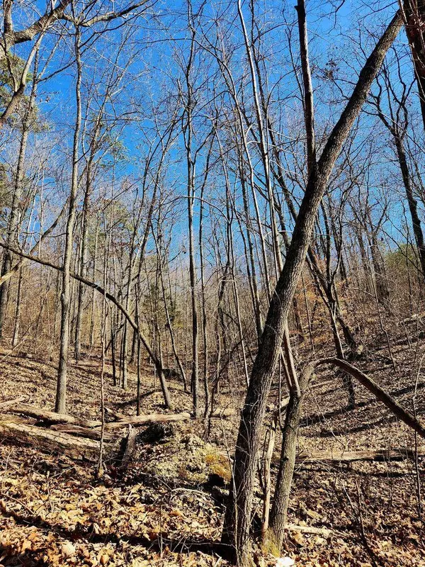 Trenton, TN 30752,0 Northwoods LN