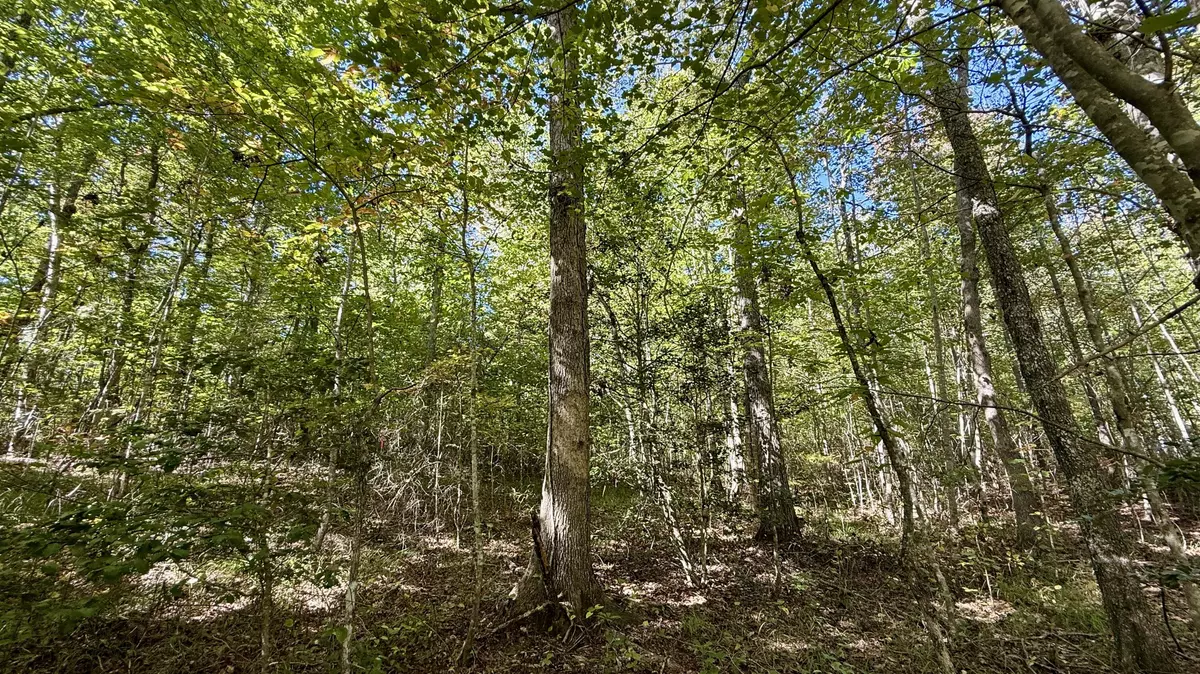 Dunlap, TN 37327,00 Owl Hollow RD