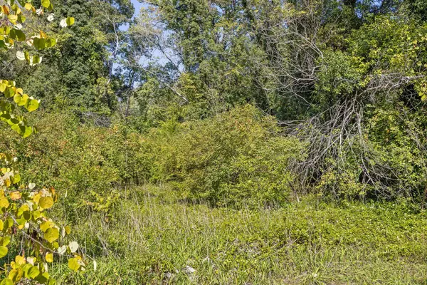 Lookout Mountain, GA 30750,1212 Cinderella RD