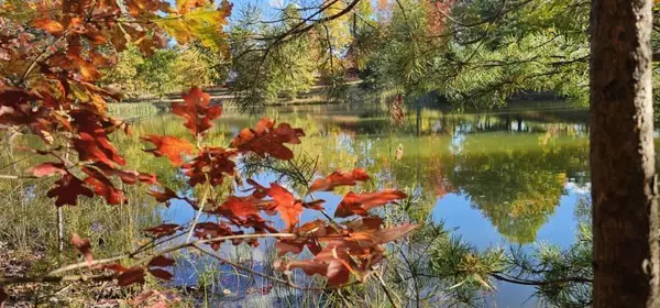 Dunlap, TN 37327,Lot 515 Wilderness Way