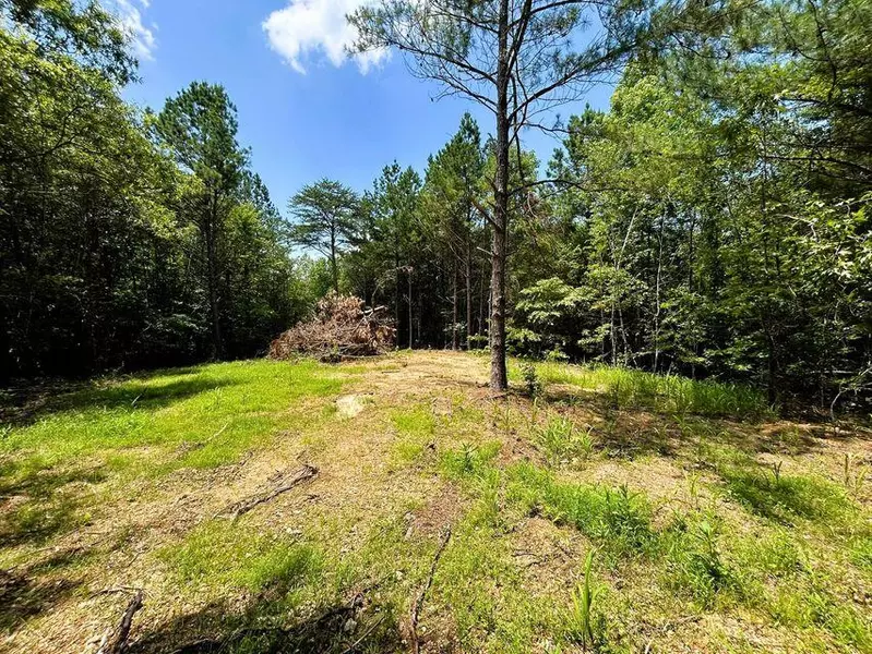 Lot 1 Highway 304, Ten Mile, TN 37880