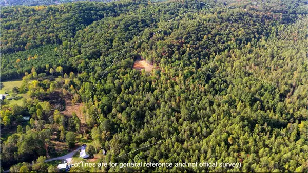 Ocoee, TN 37361,161 Gage LN