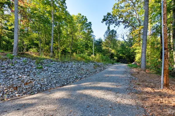 Pikeville, TN 37367,890 Lee Station Mtn RD