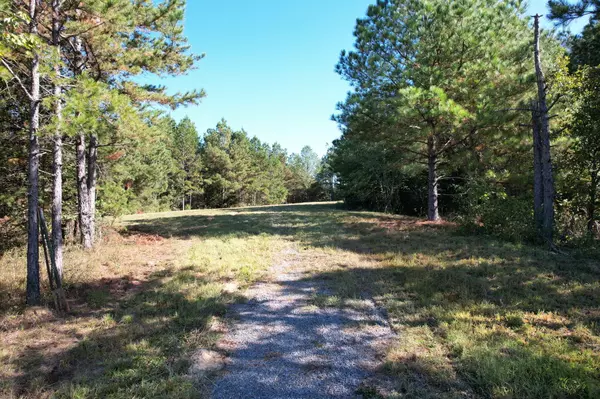 Old Fort, TN 37362,6801 Spring Place RD