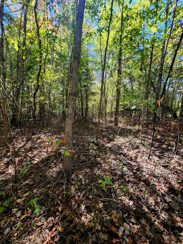 Spencer, TN 38585,0 Long Branch RD