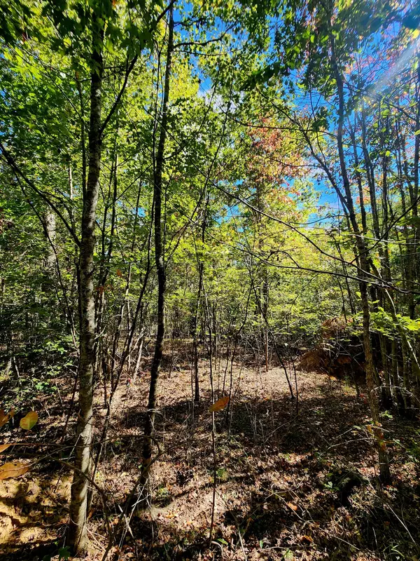 Spencer, TN 38585,0 Long Branch RD