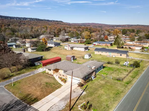 Flintstone, GA 30725,16 Japonica ST