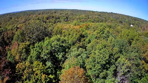 Spencer, TN 38585,0 Ridge Wood LN