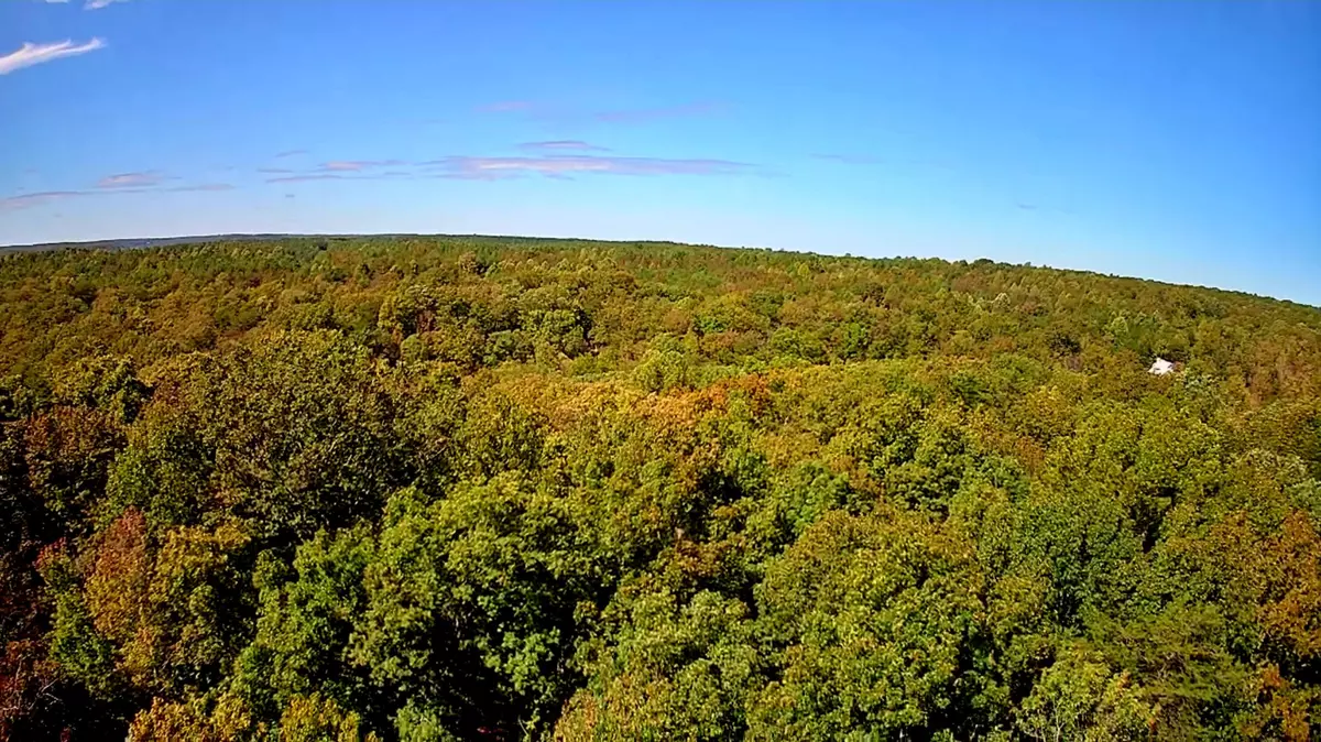 Spencer, TN 38585,0 Ridge Wood LN