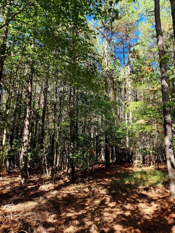 Spencer, TN 38585,0 Ridge Wood LN