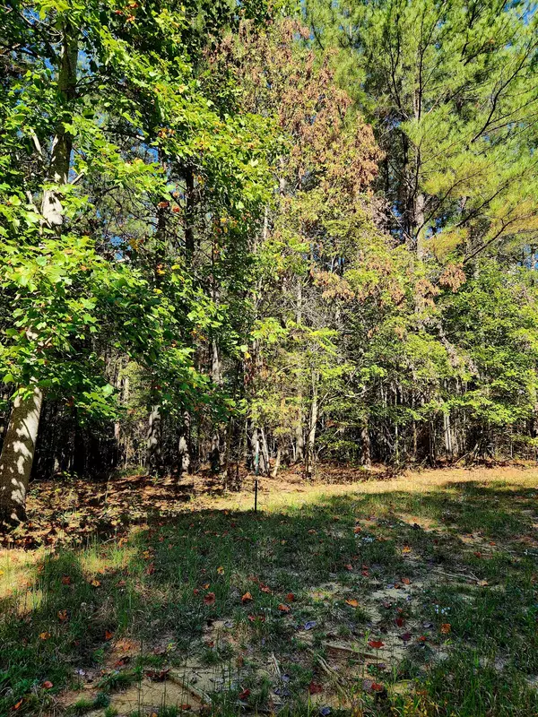 Spencer, TN 38585,0 Ridge Wood LN