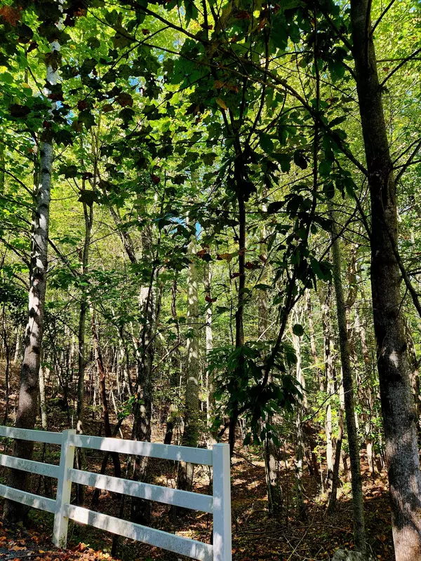 0 Ridge Wood LN, Spencer, TN 38585