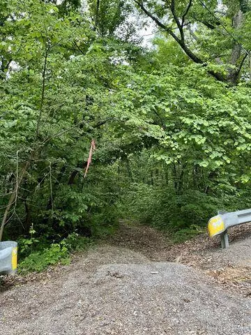 Whitwell, TN 37397,0 Cove, Lot 65 TRL