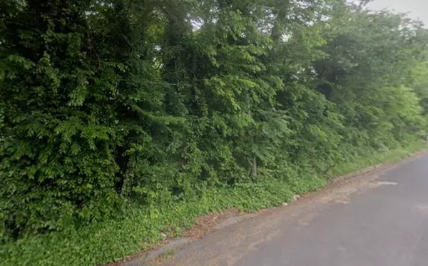 Rome, GA 30161,31 Ross ST