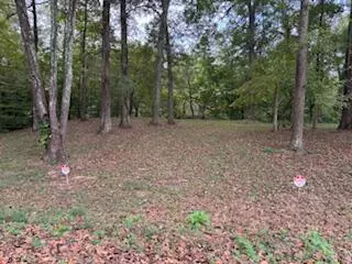 Benton, TN 37307,160 Tree Frog LN