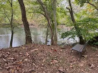 Benton, TN 37307,160 Tree Frog LN