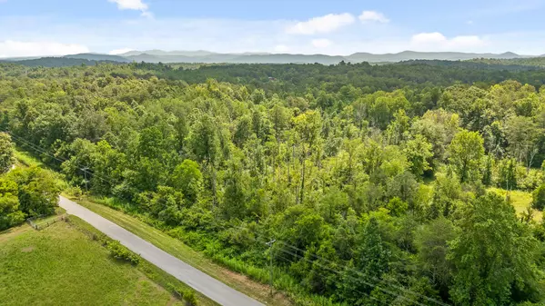 Tellico Plains, TN 37385,Lot 2 Lick Creek Road