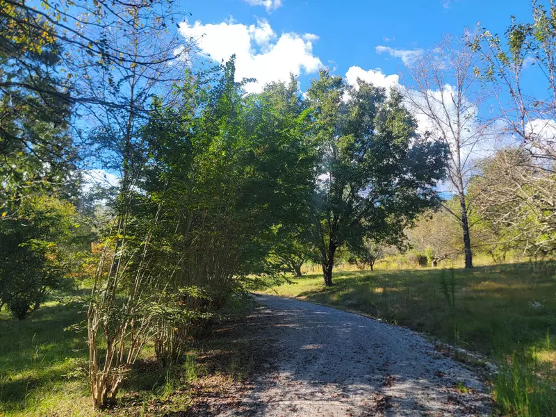 181 Sunshine LN, Spring City, TN 37381
