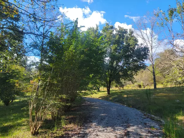 Spring City, TN 37381,181 Sunshine LN