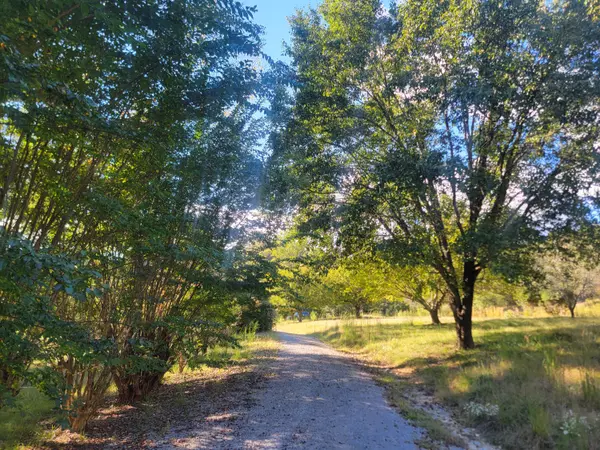 Spring City, TN 37381,181 Sunshine LN