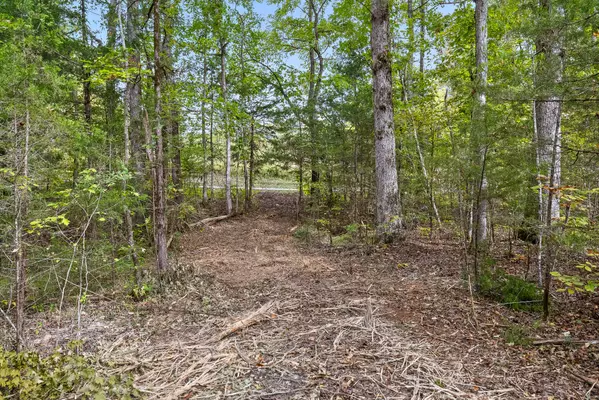 Tellico Plains, TN 37385,Lot 4 Lick Creek Road