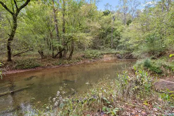 Lot 9 Shoal Creek Road, Tellico Plains, TN 37385