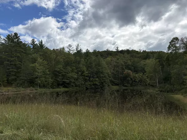 Grandview, TN 37337,0 Lot 103 Bear Den TRL