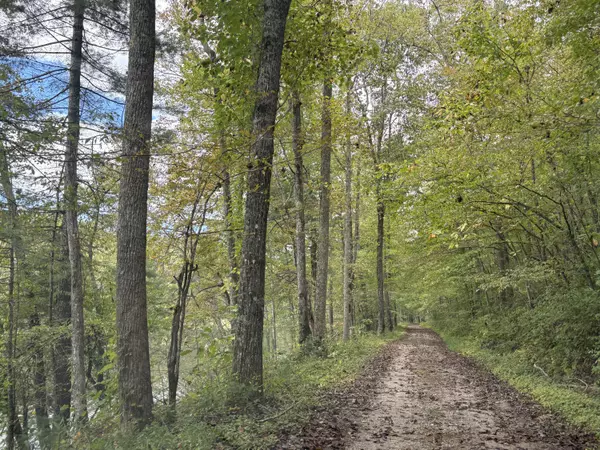 Grandview, TN 37337,0 Lot 113 Bear Den TRL