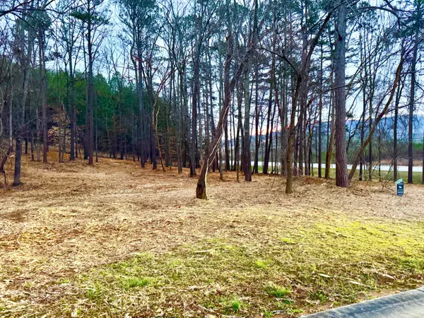 Summerville, GA 30747,1 Magnolia CT