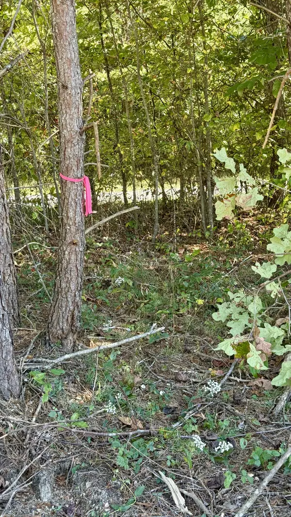 Palmer, TN 37365,00 Owl Hollow RD