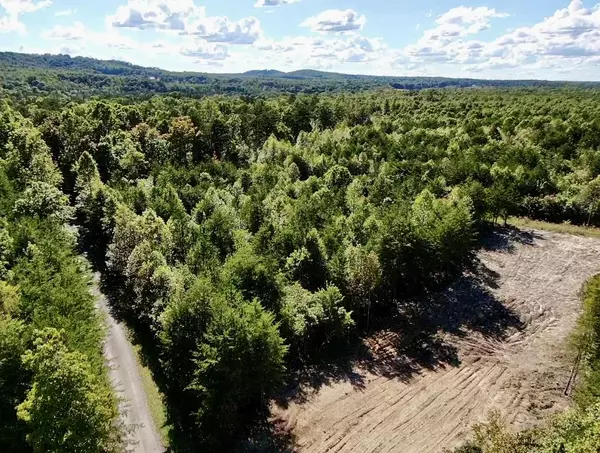 Palmer, TN 37365,00 Owl Hollow RD