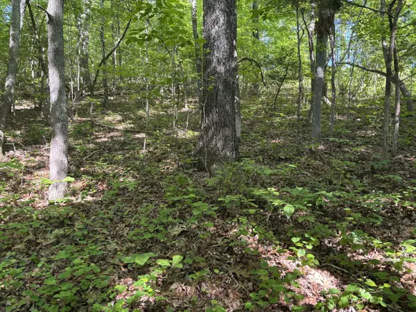 Georgetown, TN 37336,Lot 22 Van Davis RD