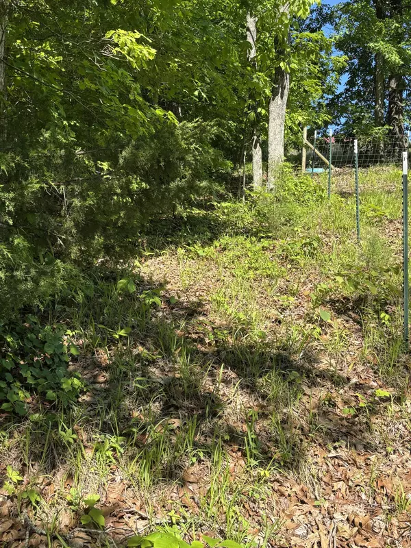 Georgetown, TN 37336,Lot 24 Van Davis RD