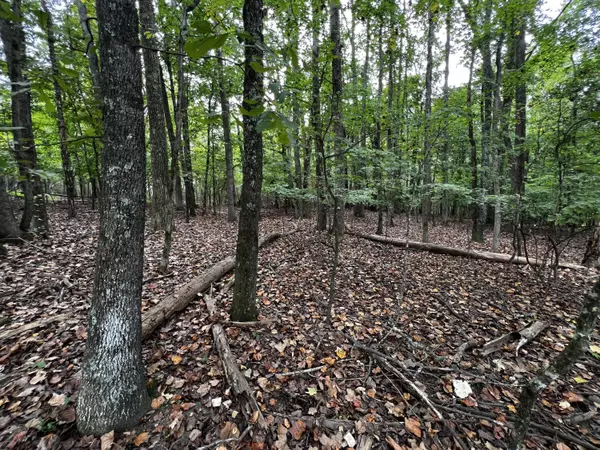 Harrison, TN 37341,11928 Crestwood TRL