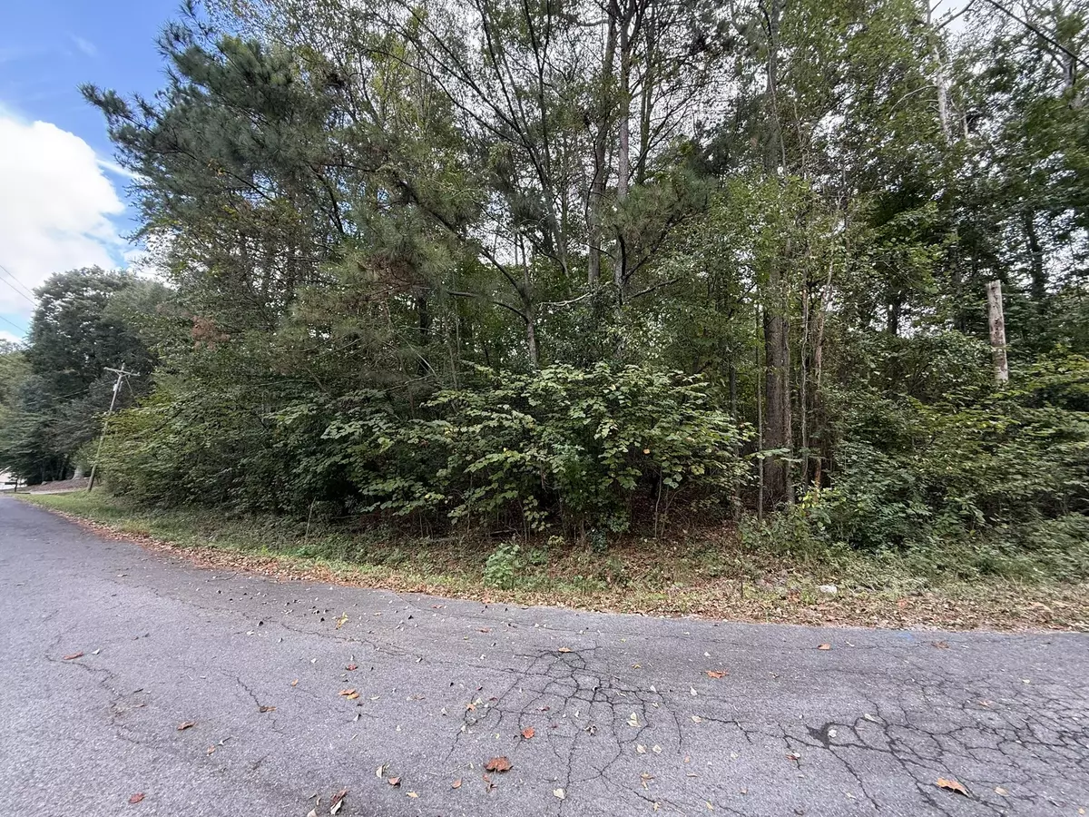 Rocky Face, GA 30740,0 Battleline DR