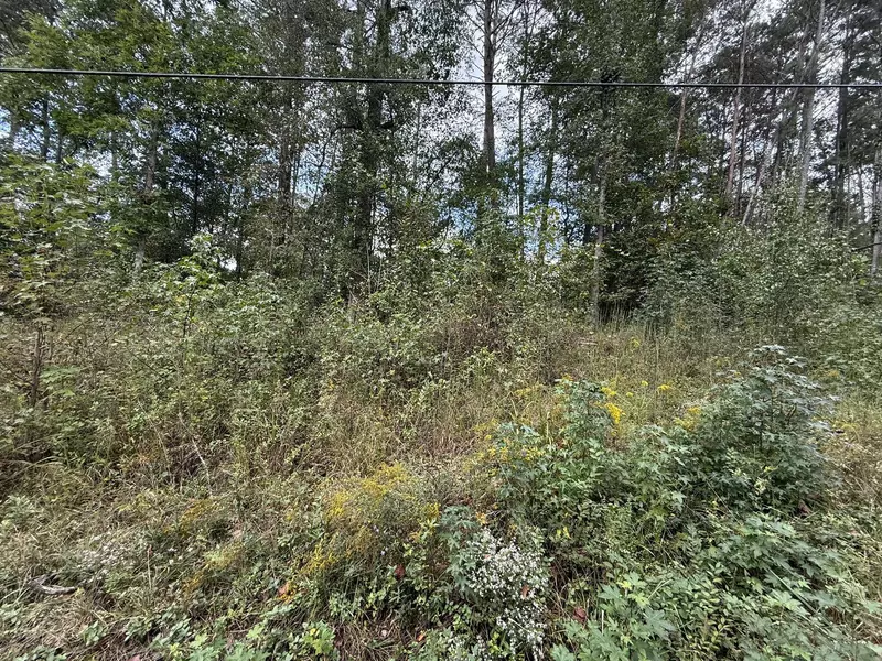 0 Longleaf DR, Rocky Face, GA 30740