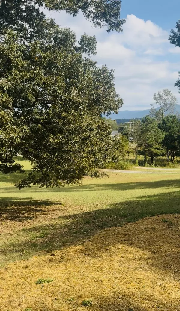 Chatsworth, GA 30705,483 Cobb RD