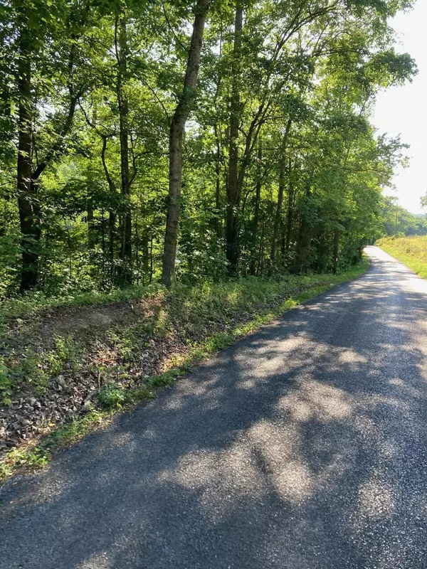 Birchwood, TN 37308,0 Horner Hollow RD