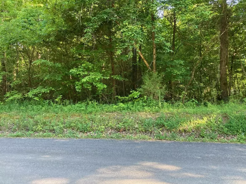 0 Horner Hollow RD, Birchwood, TN 37308
