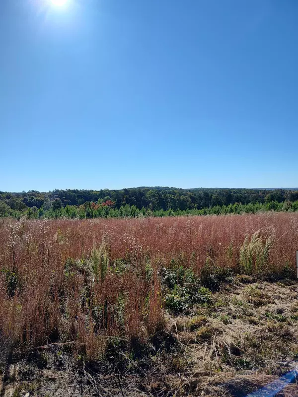 Dunlap, TN 37327,00 Fredonia RD
